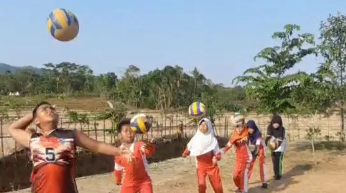 Bola voli